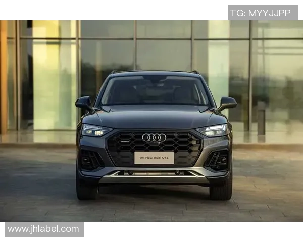 奥迪闪耀绿茵赛场展现非凡实力与拼搏精神书写属于自己的传奇篇章